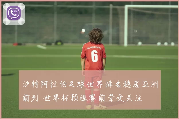 沙特阿拉伯足球世界排名稳居亚洲前列 世界杯预选赛前景受关注