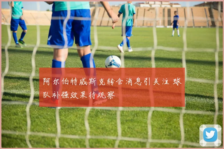 阿尔伯特威斯克转会消息引关注 球队补强效果待观察