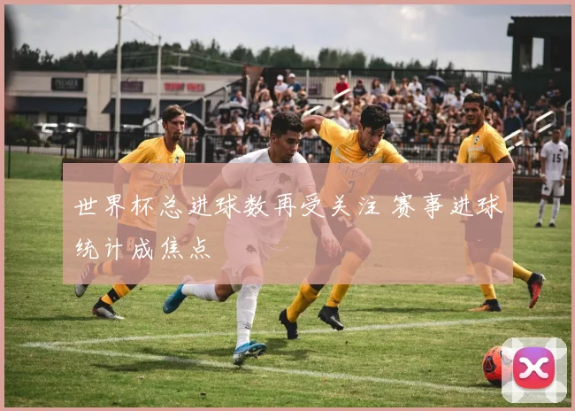 世界杯总进球数再受关注 赛事进球统计成焦点