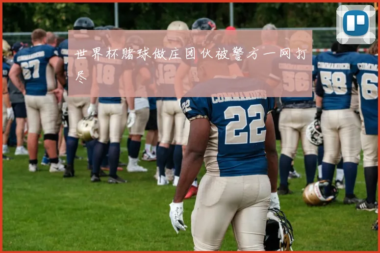 世界杯赌球做庄团伙被警方一网打尽