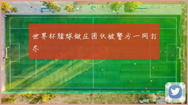 世界杯赌球做庄团伙被警方一网打尽