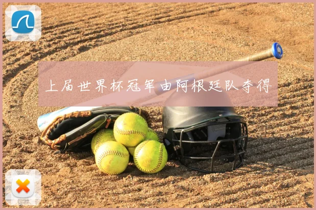 上届世界杯冠军由阿根廷队夺得